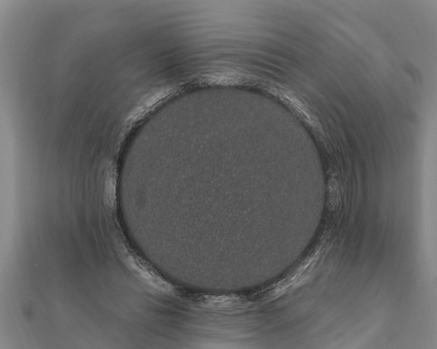 X0000112110446200908181351