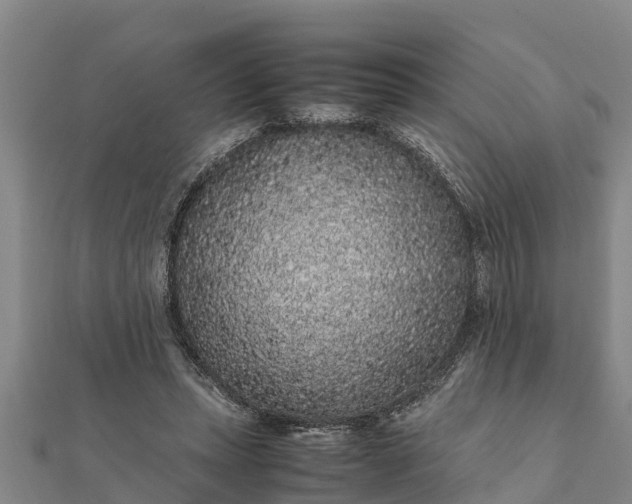 X0000112110447200908181351