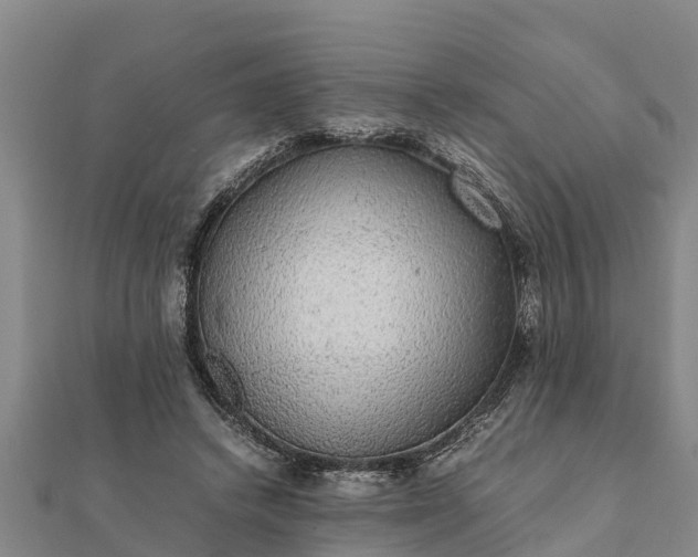 X0000112110448200908181351