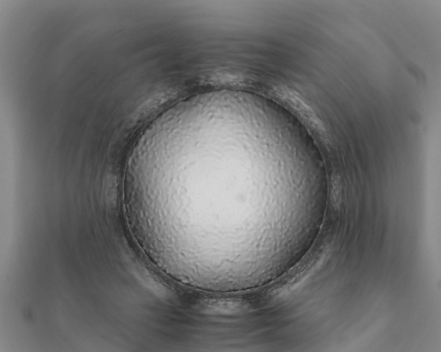 X0000112110449200908181351