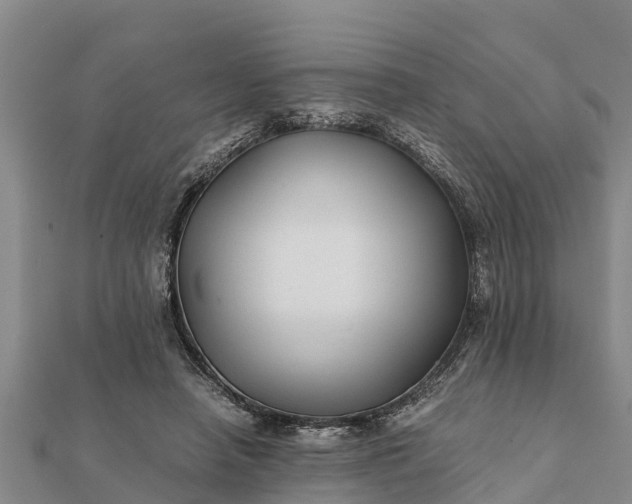 X0000112110450200908181351