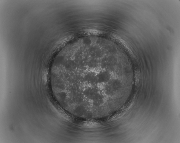 X0000112110451200908181351