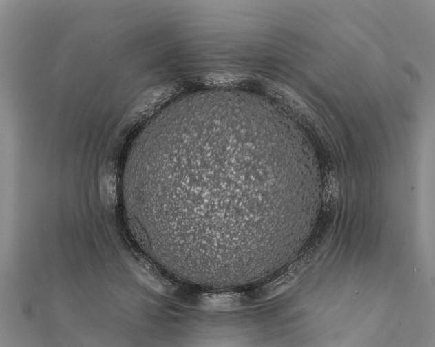 X0000112110452200908181351