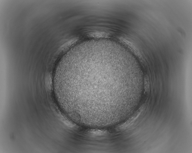 X0000112110453200908181351