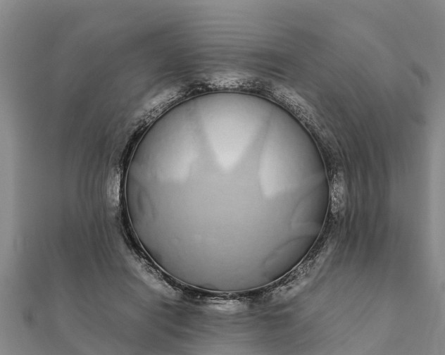 X0000112110454200908181351