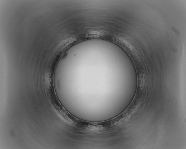 X0000112110455200908181351