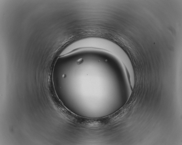 X0000112110456200908181351