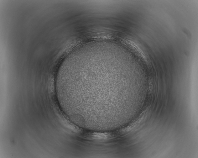 X0000112110457200908181351