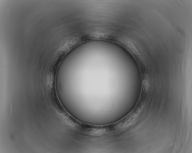 X0000112110458200908181351