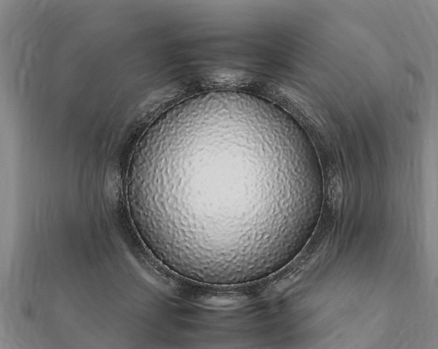 X0000112110459200908181351