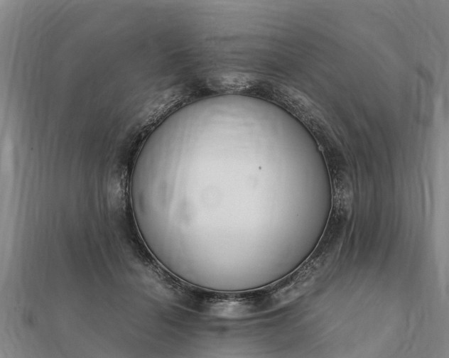 X0000112110460200908181351