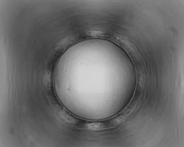 X0000112110461200908181351