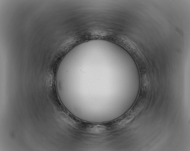 X0000112110463200908181351