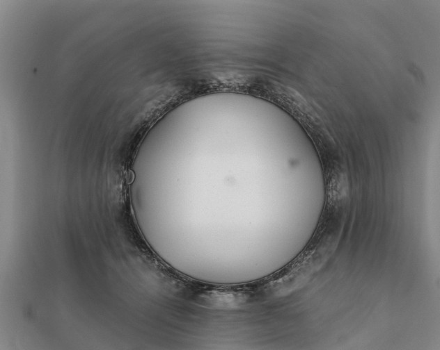 X0000112110464200908181351