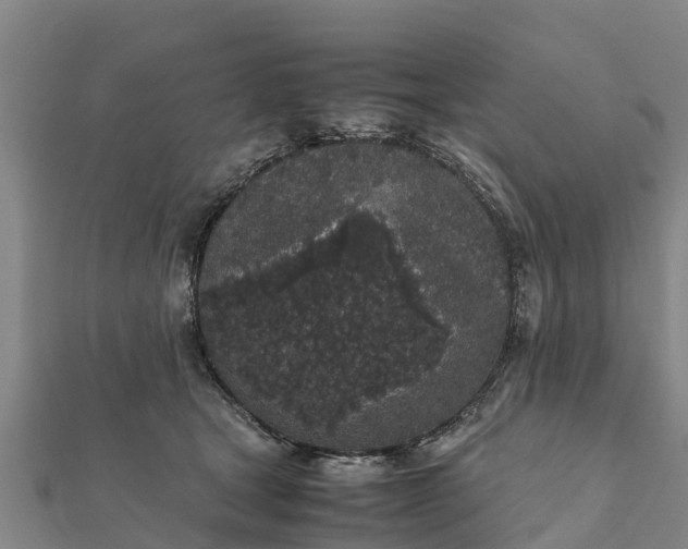 X0000112110465200908181351