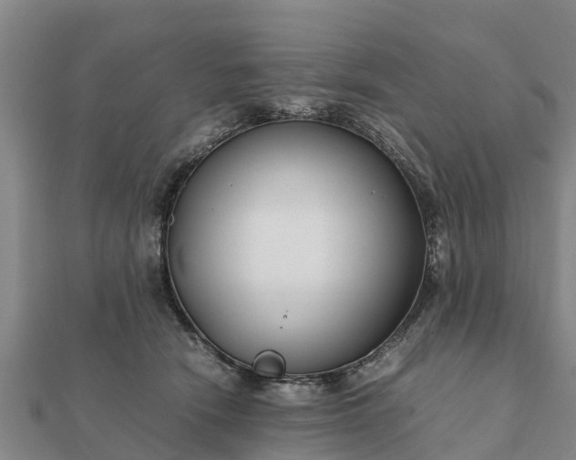 X0000112110466200908181351