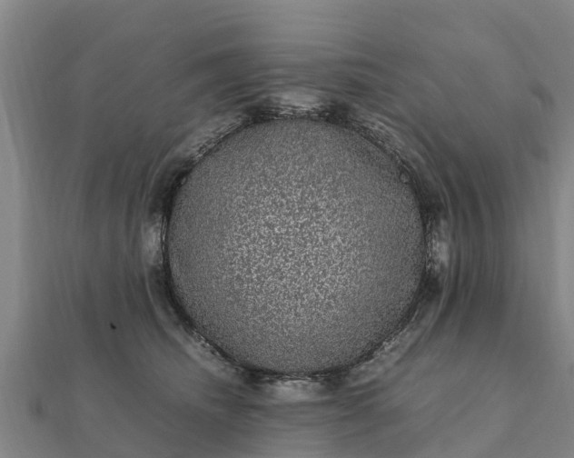 X0000112110468200908181352