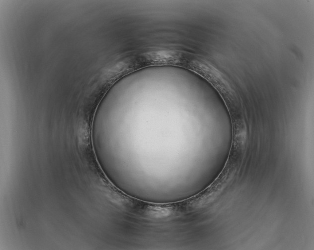 X0000112110469200908181352