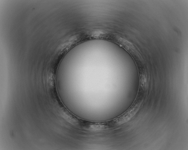 X0000112110470200908181352