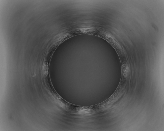 X0000112110471200908181352