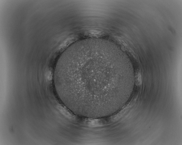 X0000112110472200908181352