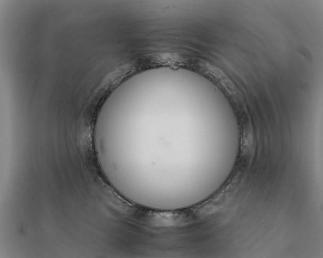 X0000112110473200908181352