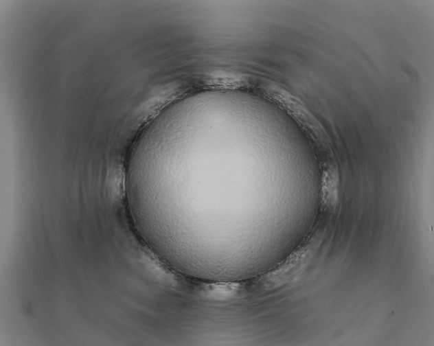 X0000112110474200908181352