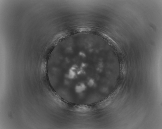 X0000112110475200908181352