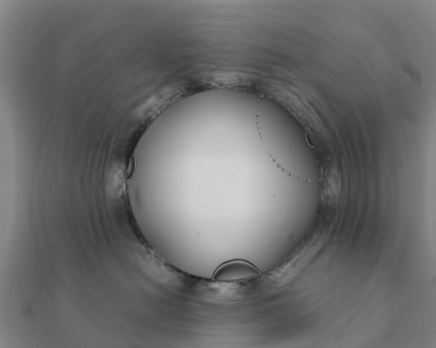 X0000112110478200908181352