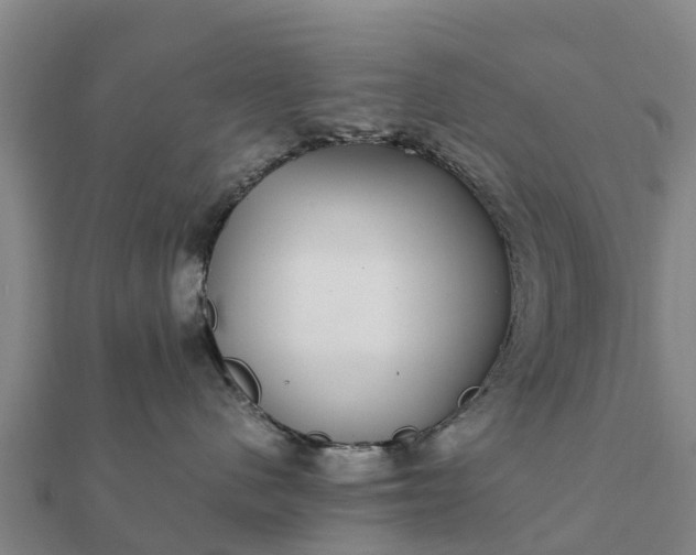 X0000112110480200908181352