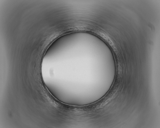 X0000112110481200908181351