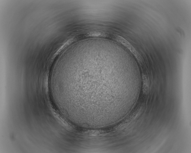 X0000112110482200908181351