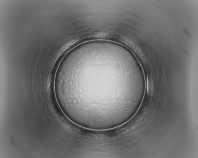 X0000112110483200908181351