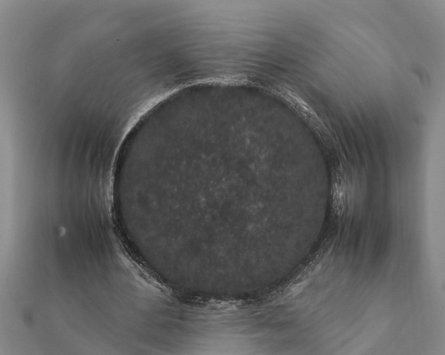 X0000112110484200908181351