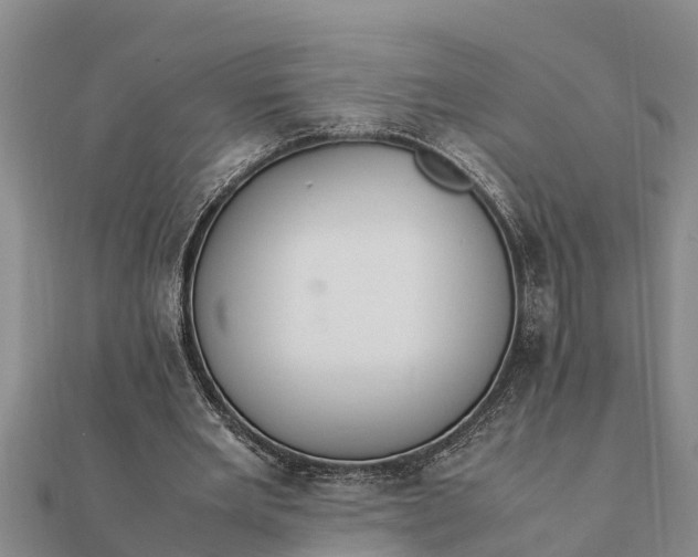 X0000112110485200908181351