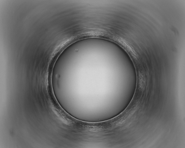 X0000112110486200908181351