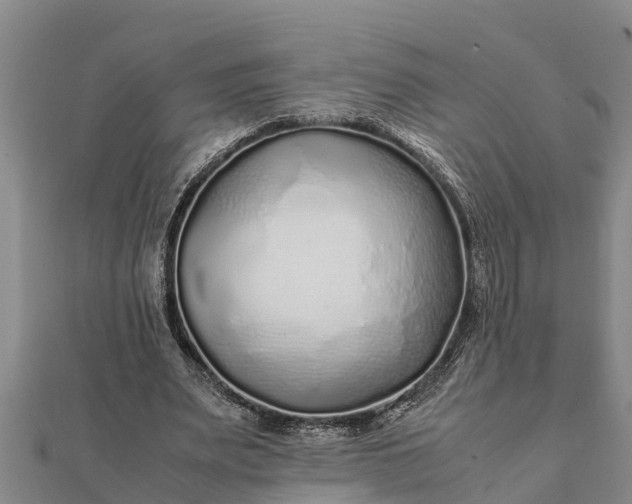 X0000112110487200908181351