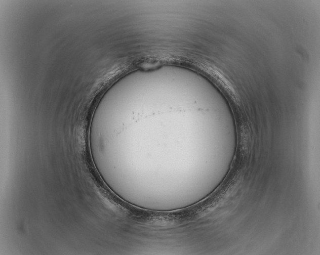 X0000112110489200908181351