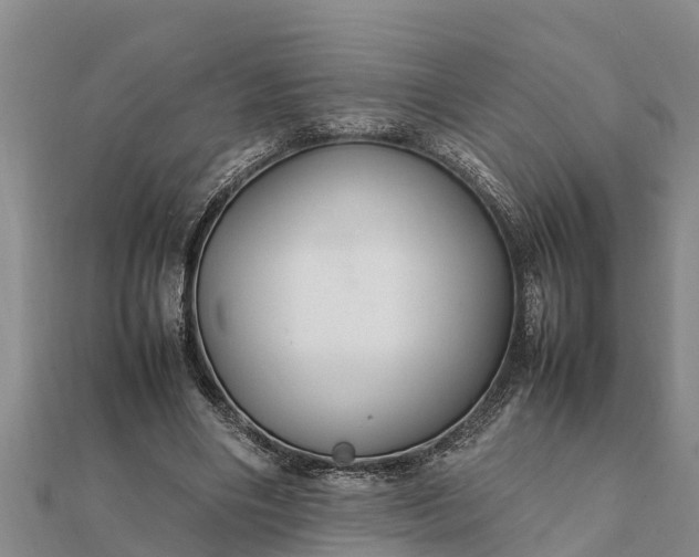 X0000112110490200908181351