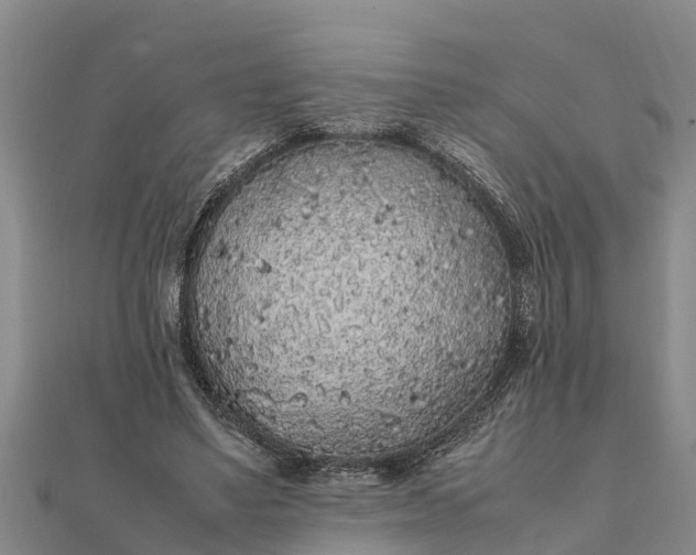 X0000112110491200908181351