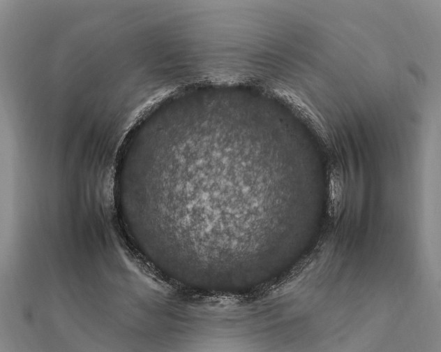 X0000112110492200908181351