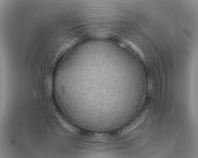 X0000112110493200908181351