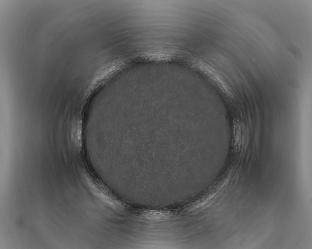 X0000112110494200908181351