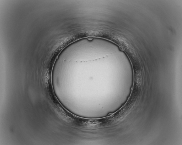 X0000112110495200908181351