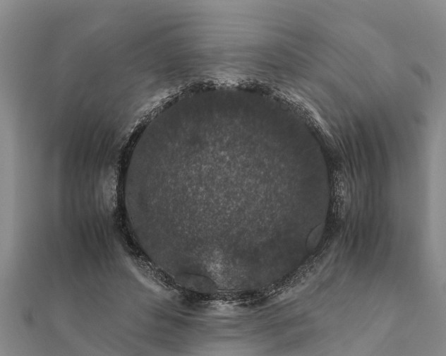 X0000112110496200908181351