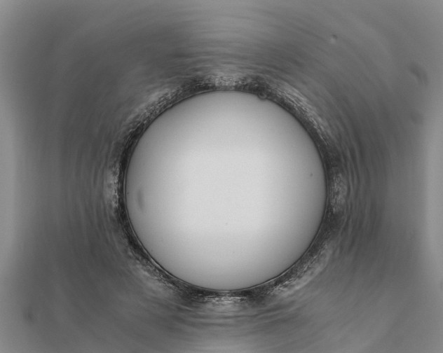 X0000112110497200908181351