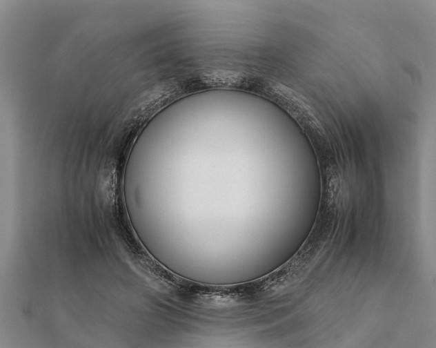 X0000112110498200908181351