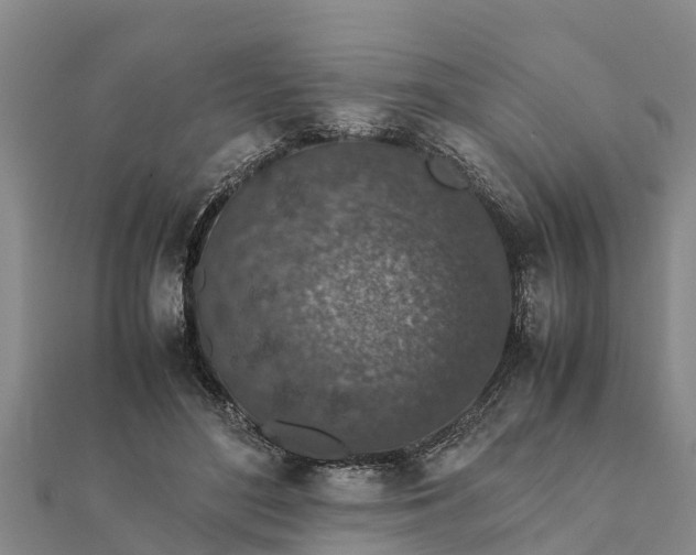 X0000112110500200908181351