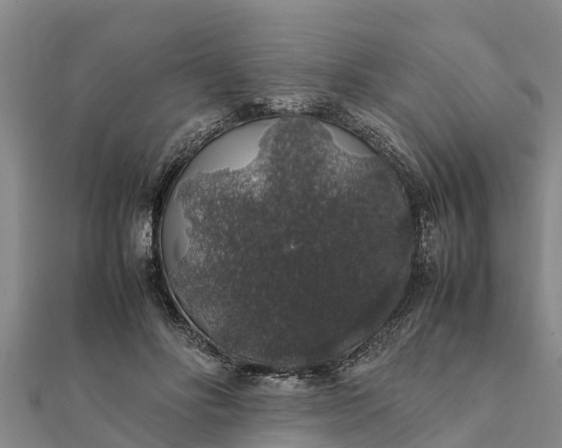 X0000112110502200908181351