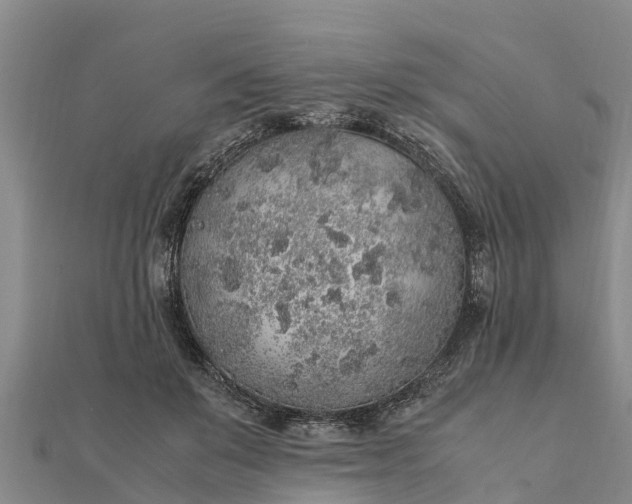 X0000112110503200908181351